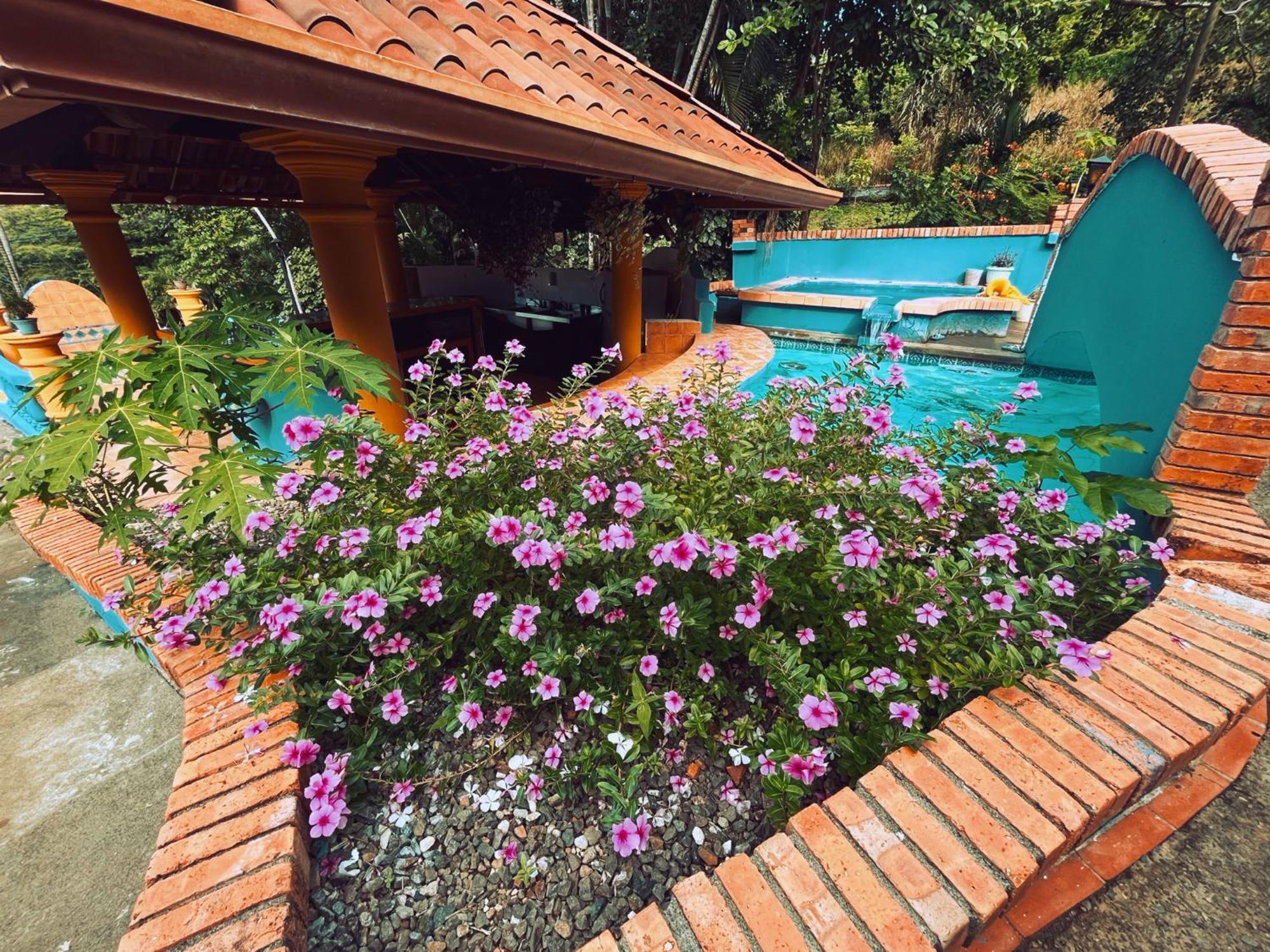 Siwo Art Guesthouse Playa Ocotal 外观 照片