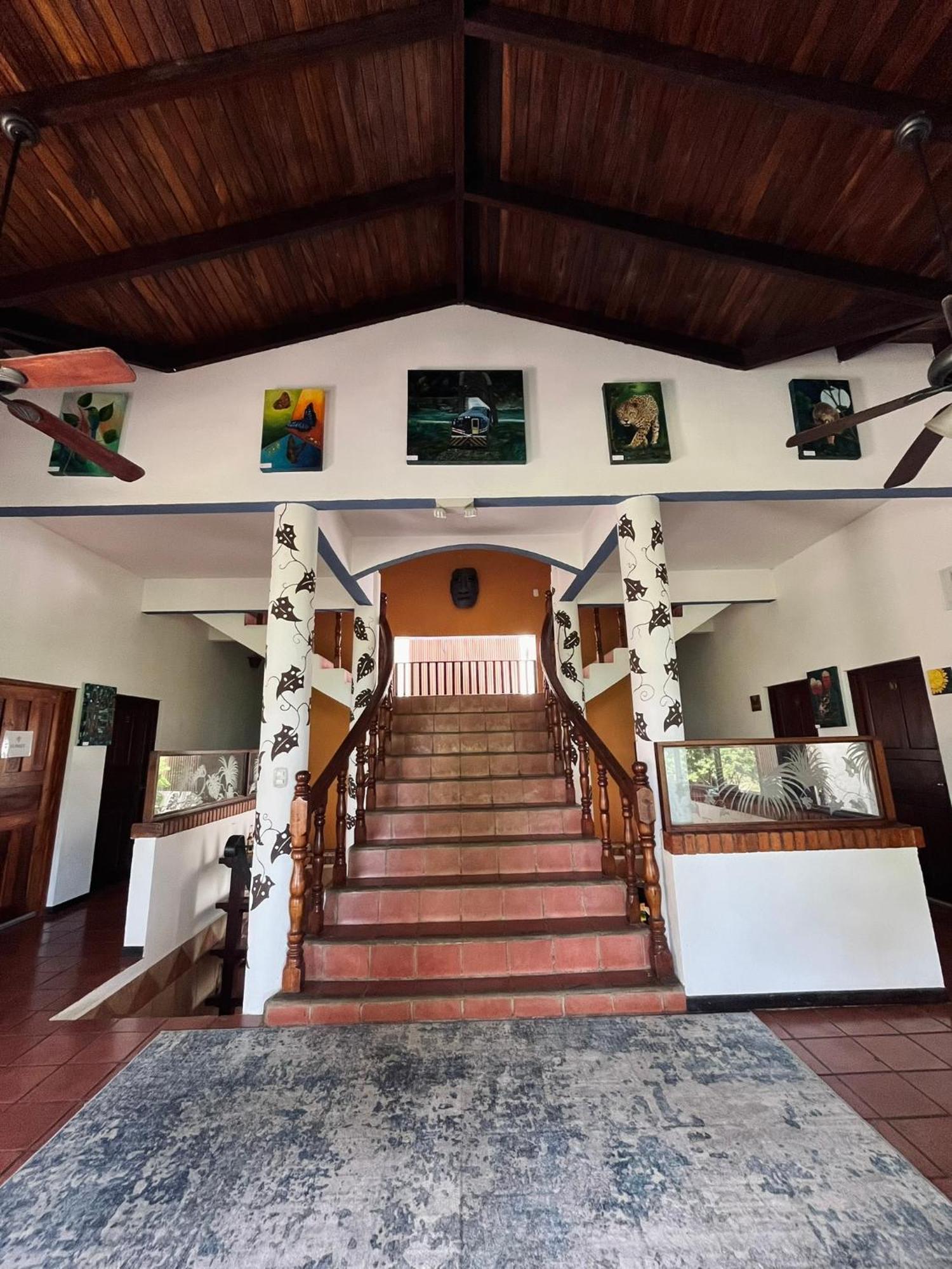 Siwo Art Guesthouse Playa Ocotal 外观 照片